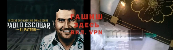 гидра Балахна