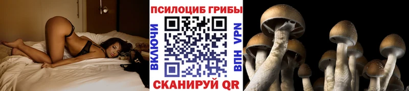 Галлюциногенные грибы мицелий  Пересвет 