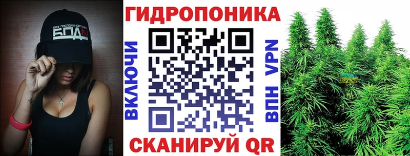 Шишки марихуана THC 21%  как найти   Пересвет 